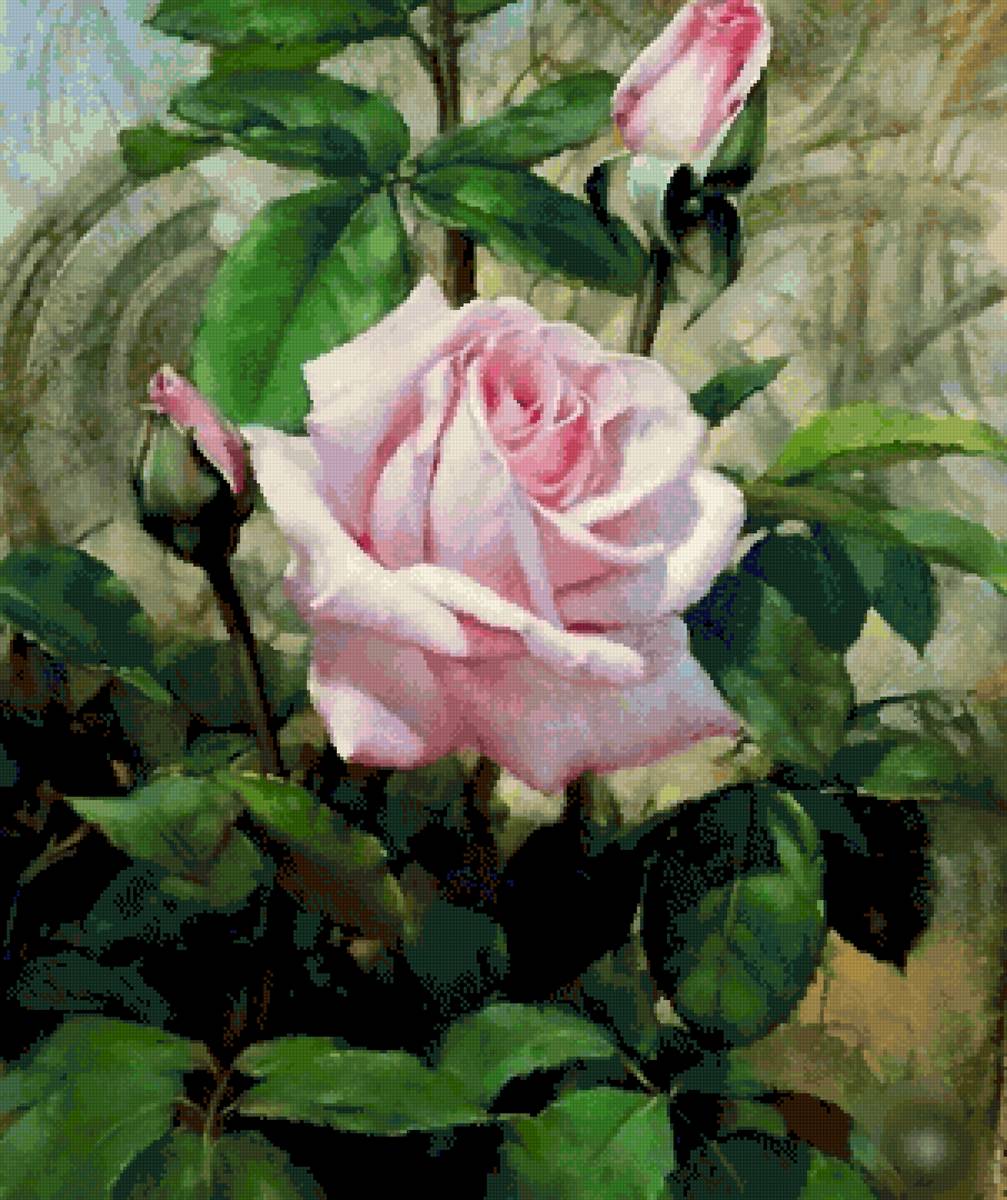 Роза - юрий ярош - предпросмотр