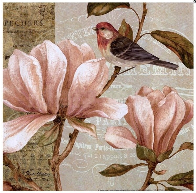 Винтажные иллюстрации - цветы, иллюстрация, винтаж - оригинал