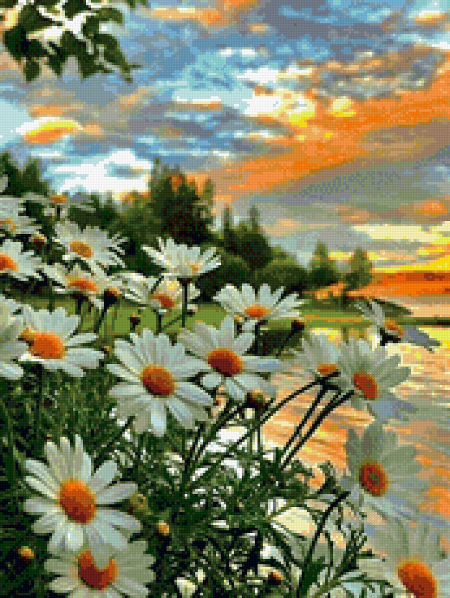 Ромашки - предпросмотр