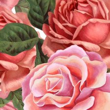 Схема вышивки «Розы»