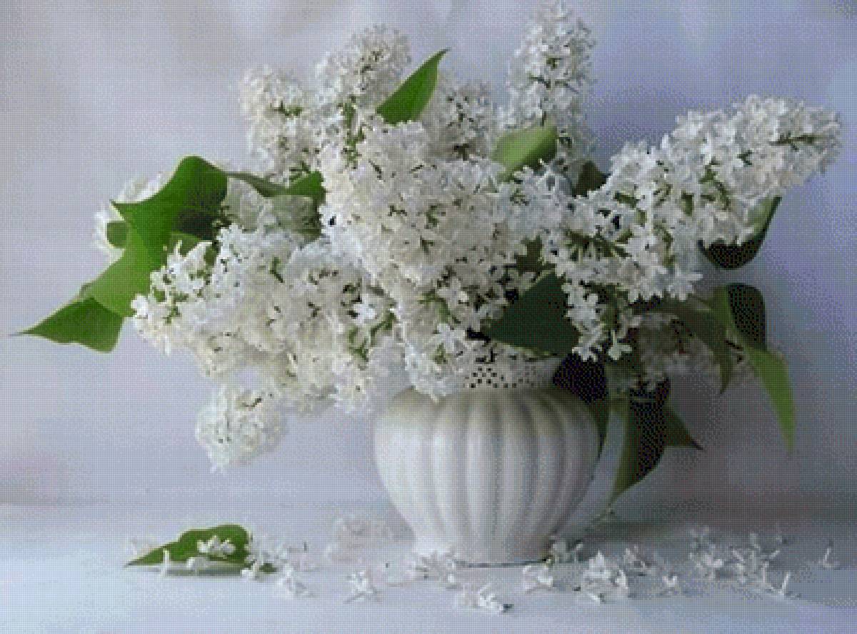 №2637662 - предпросмотр