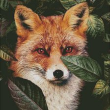 Схема вышивки «Ромео»