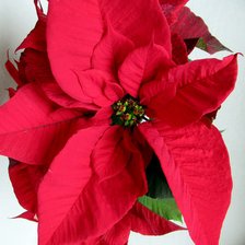 Схема вышивки «№2638399»