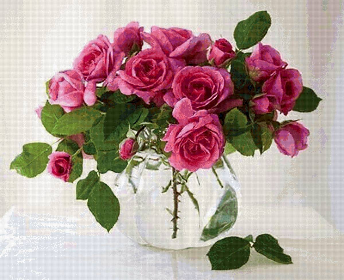 Розовые розы - розовые розы - предпросмотр