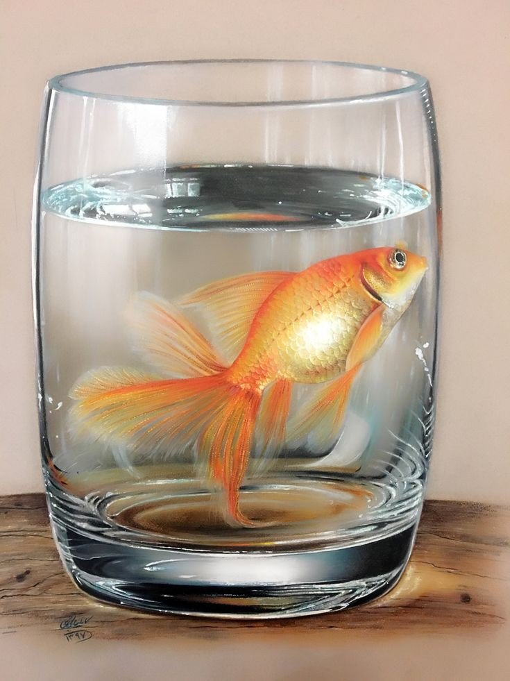 ,,золотая рыбка,, - золотая рыбка - оригинал