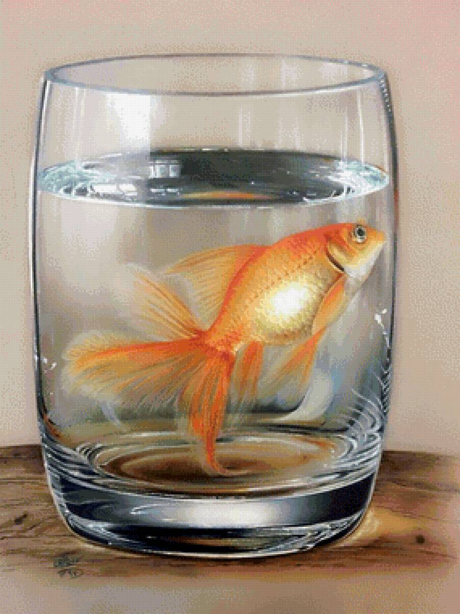 ,,золотая рыбка,, - золотая рыбка - предпросмотр