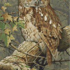 Схема вышивки «Сова»