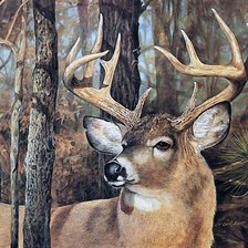 Схема вышивки «№2638750»