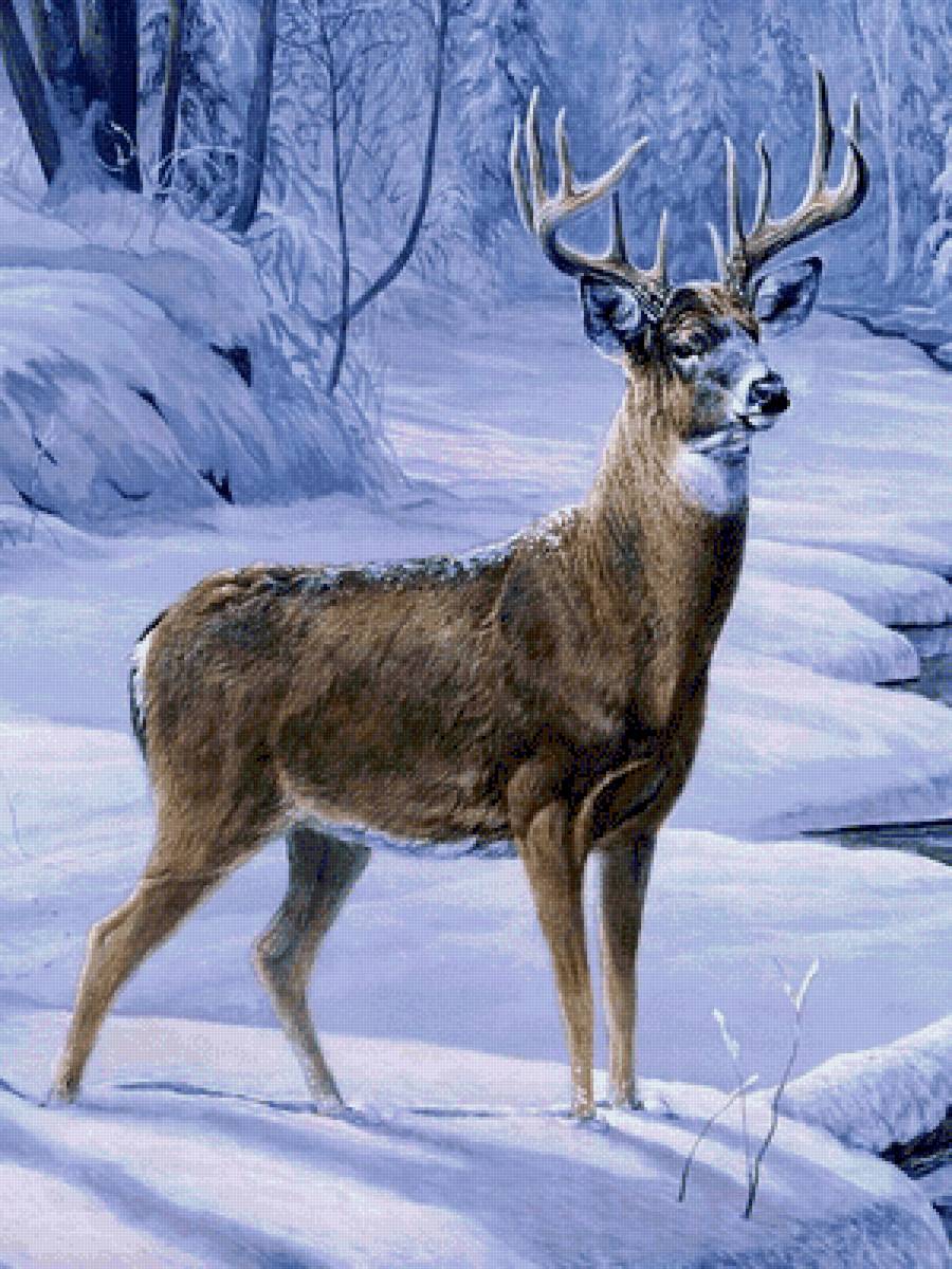 №2638753 - предпросмотр