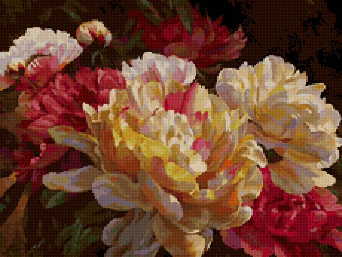 пион красавец - цветы пионы - предпросмотр