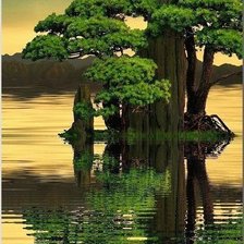 Оригинал схемы вышивки «№2638856»