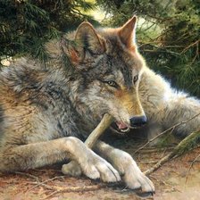 Схема вышивки «№2639236»