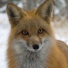 Оригинал схемы вышивки «№2639315»