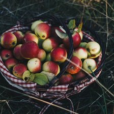 Схема вышивки «№2639430»