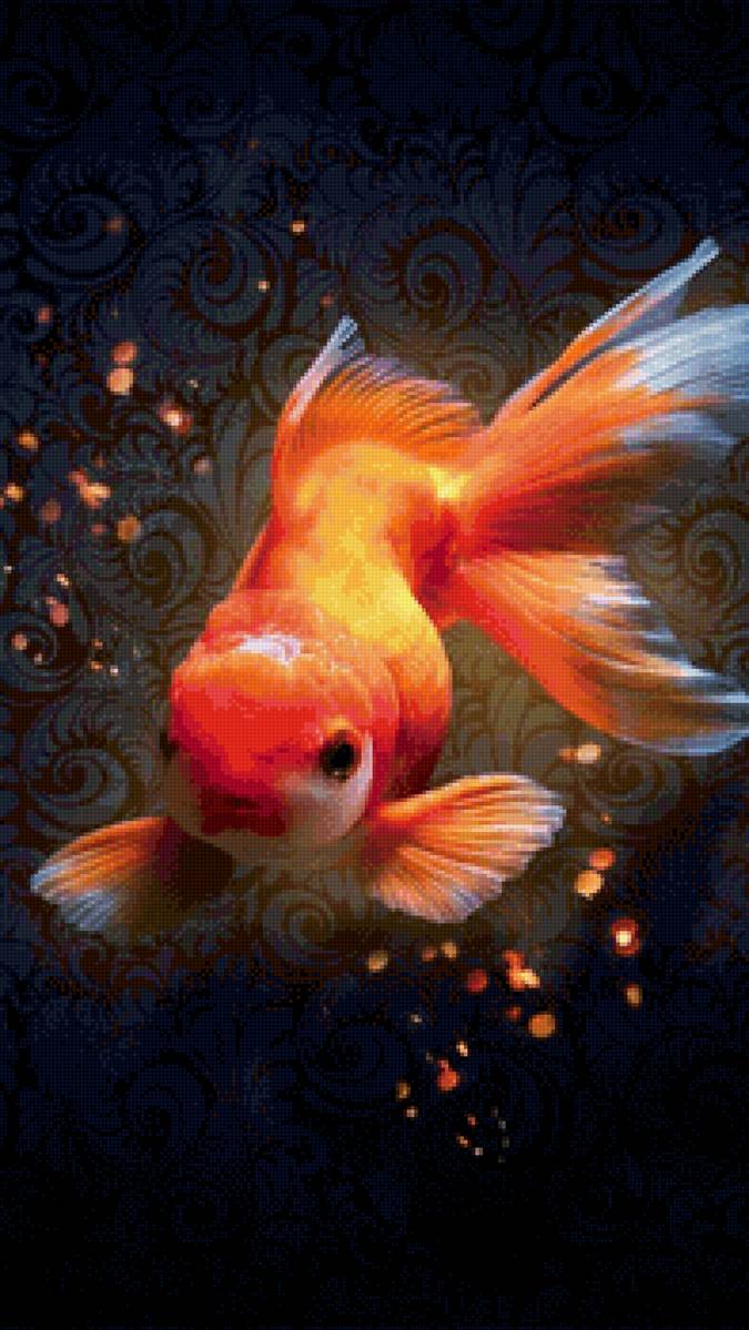 Золотая рыбка - золотая рыбка - предпросмотр