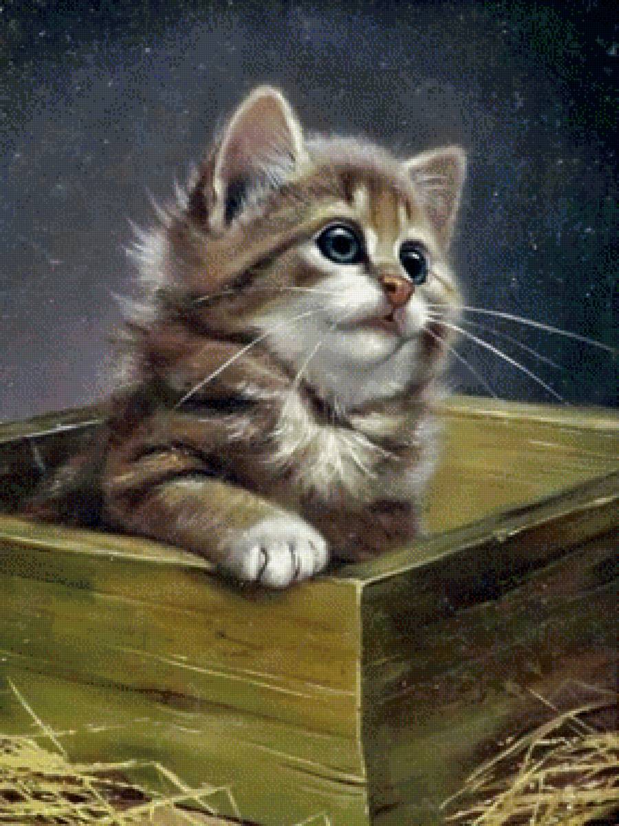 Кот - коь - предпросмотр