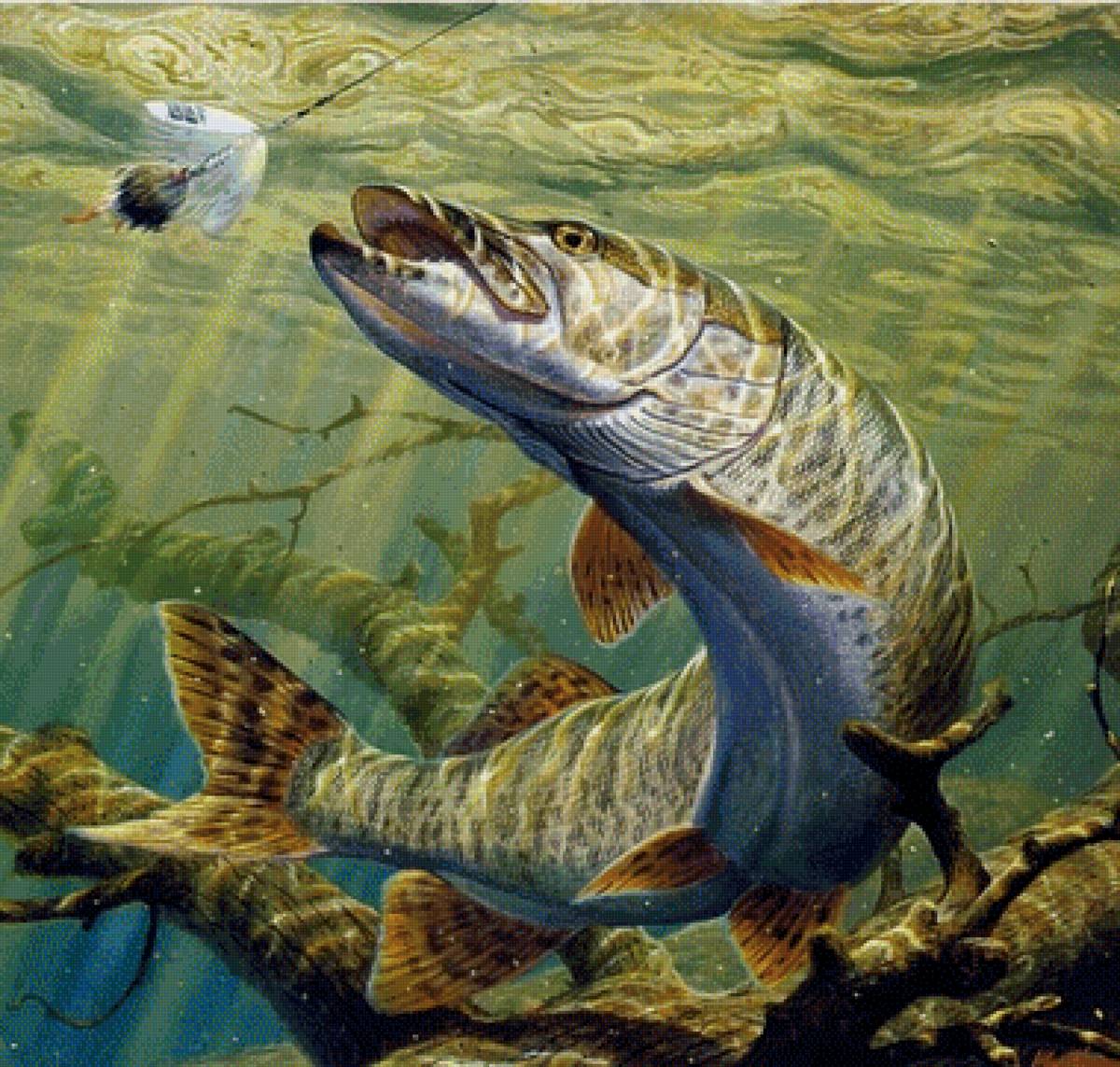 Рыбка - рыбка - предпросмотр