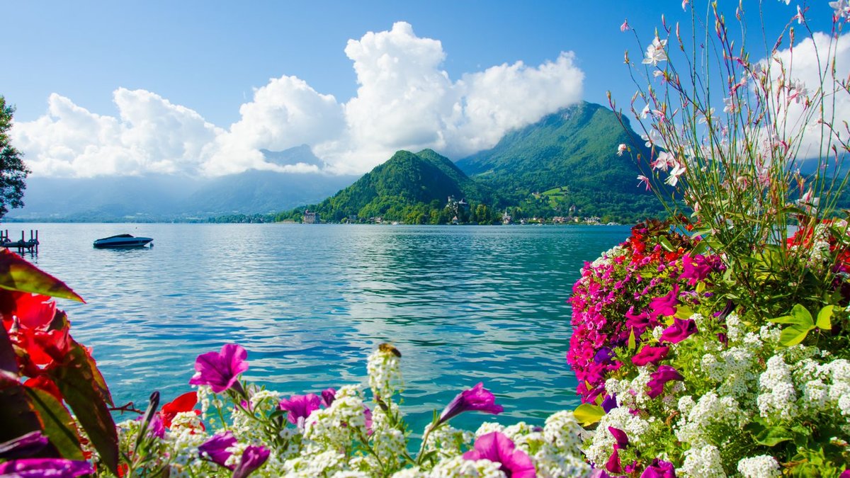 Озеро - озеро, лодка, цветы - оригинал