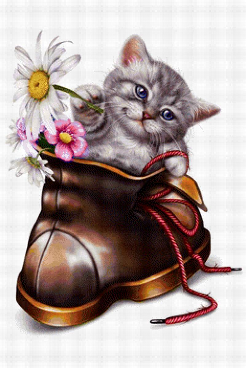 Котёнок в башмаке - башмак, котенок - предпросмотр