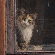 Схема вышивки «№2640482»