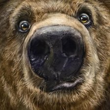 Схема вышивки «№2641001»