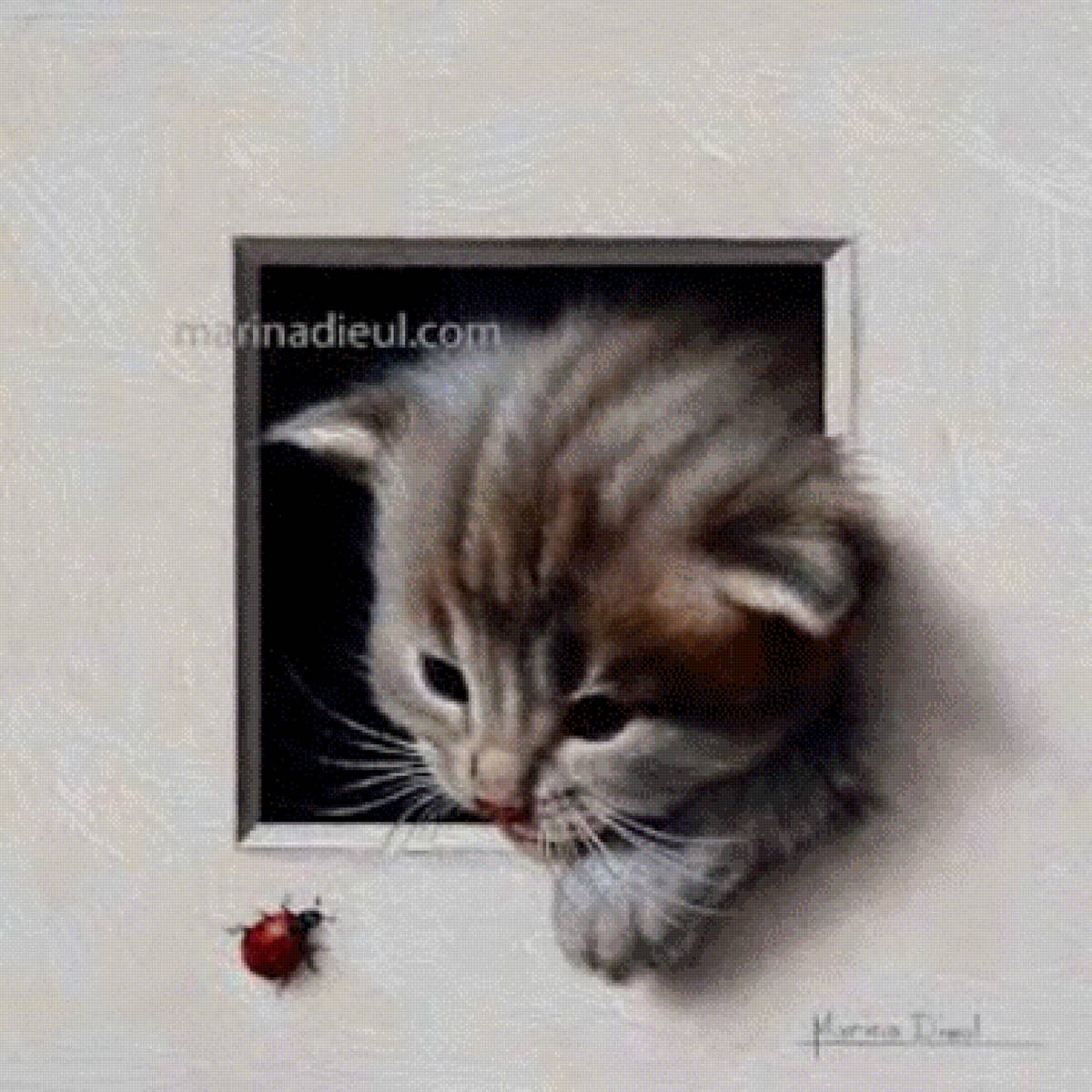 ,, встреча,, - жук., котенок - предпросмотр