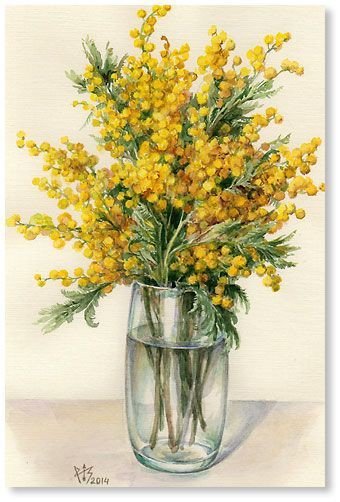 Букет из,,мимозы,, - , мимоза - оригинал