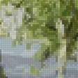 Предпросмотр схемы вышивки «Берёзы» (№2641342)