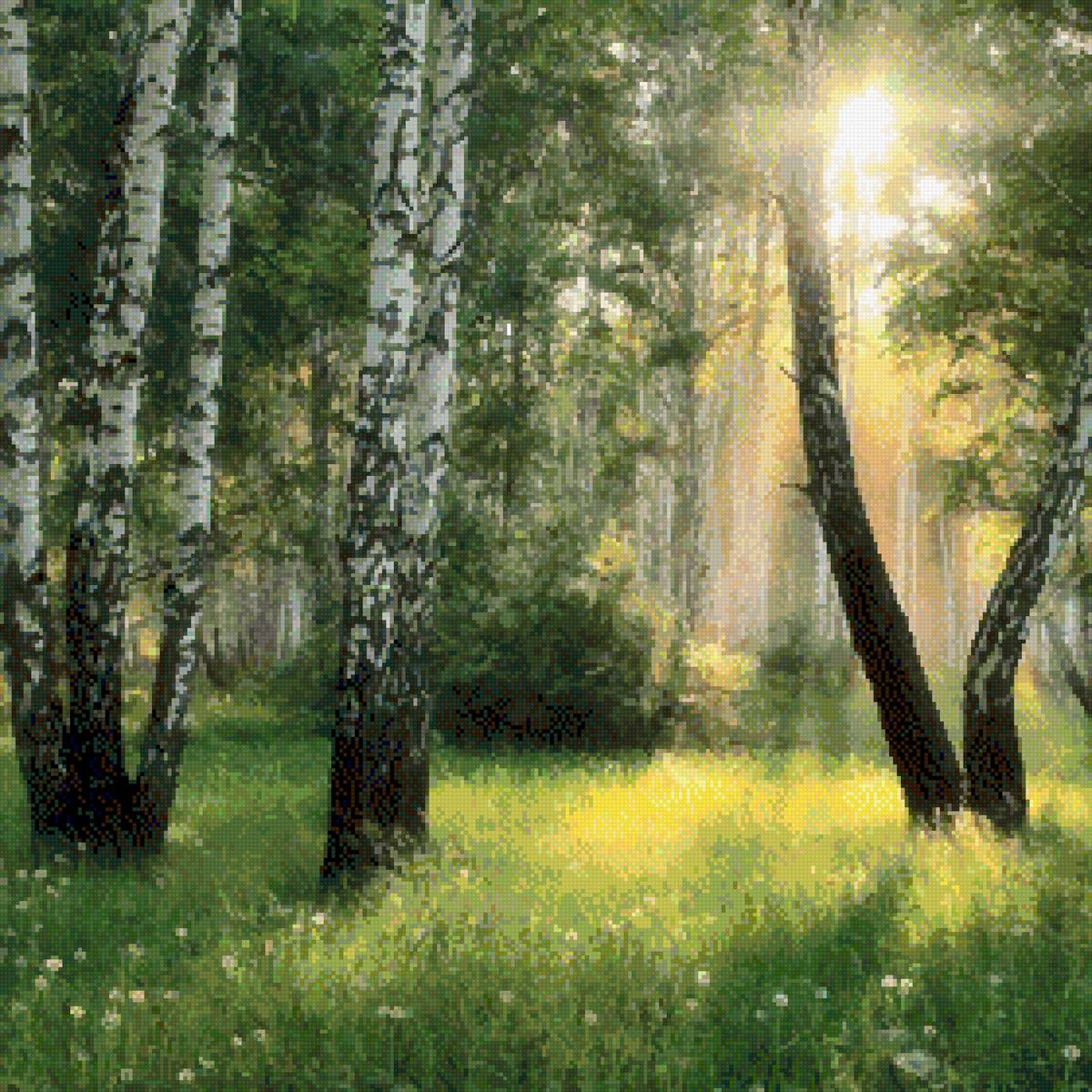 Березки - предпросмотр