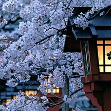 Схема вышивки «сакура»