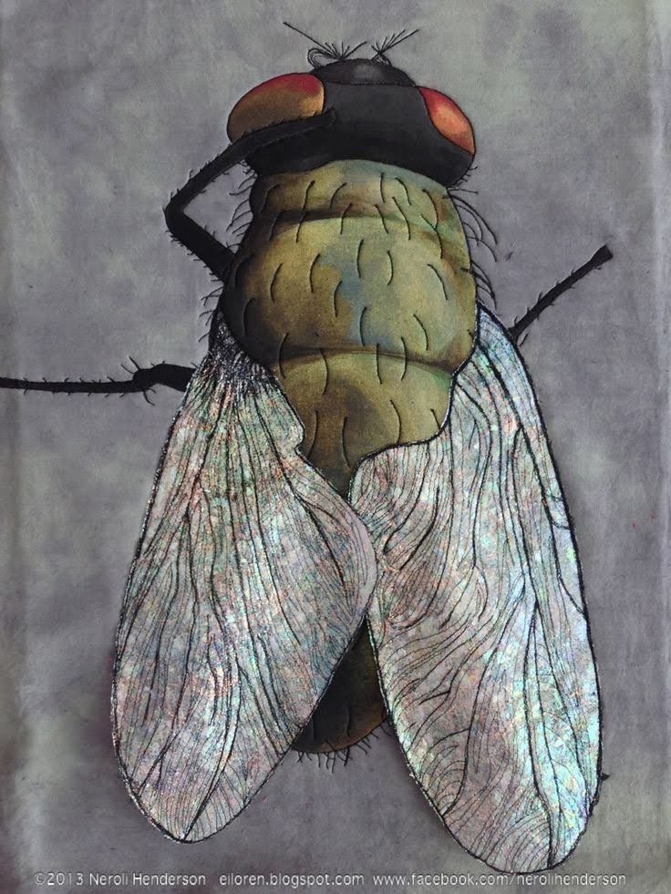 Муха - насекомое - оригинал