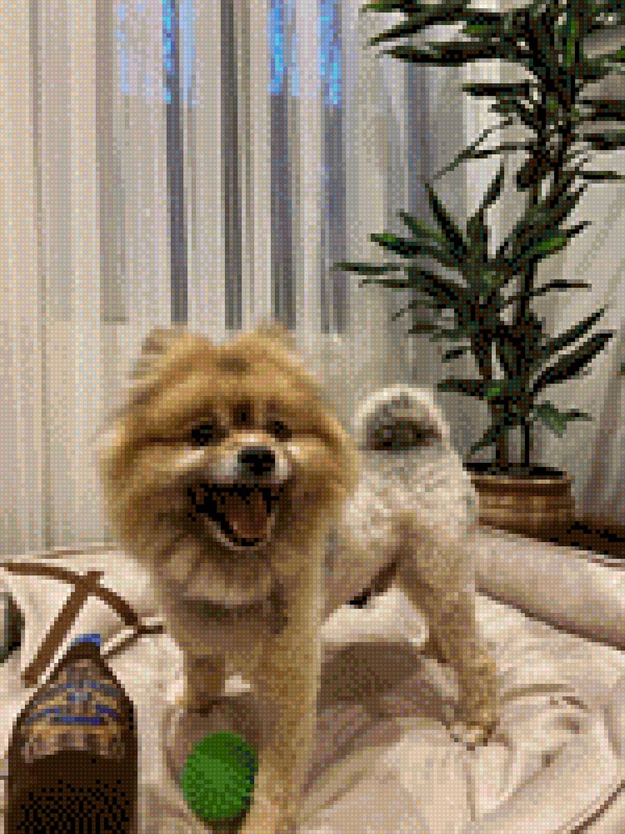 Dolar 2 - предпросмотр