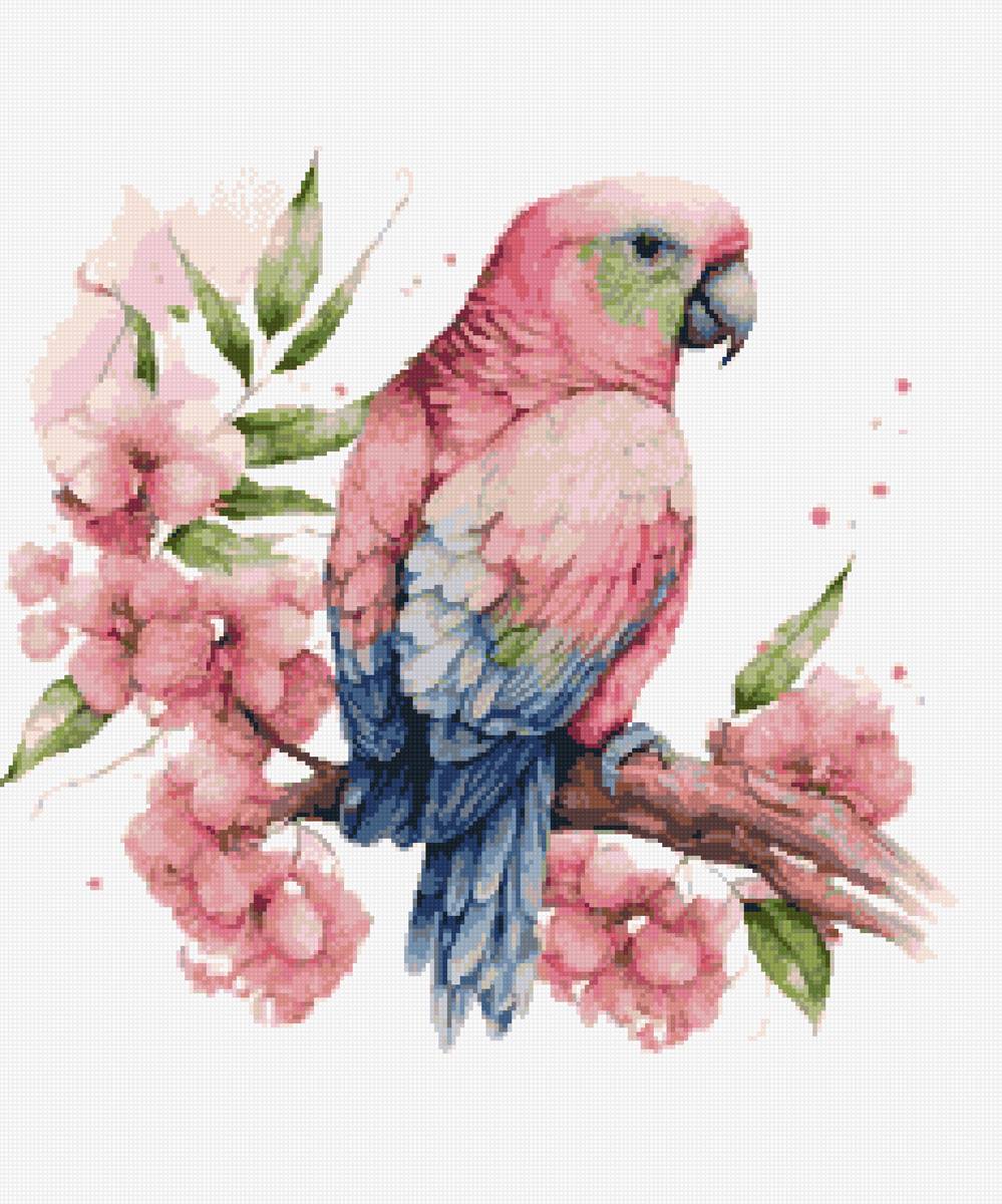 Попугай - рисунок, птица, попугай - предпросмотр