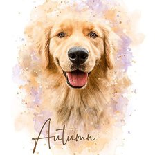 Схема вышивки «Watercolor Pet»