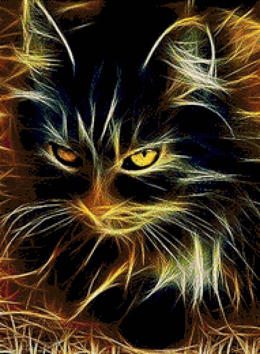 pisica - предпросмотр