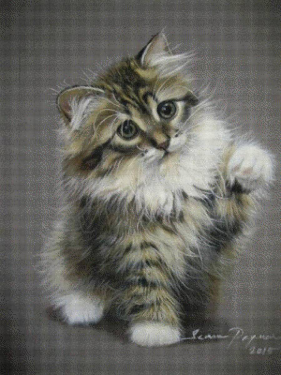 Пушок - кот - предпросмотр