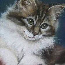 Схема вышивки «Кот»