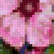 Предпросмотр схемы вышивки «Полевые цветы» (№2643691)