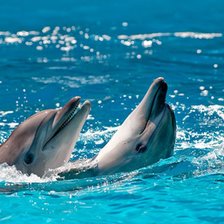 Схема вышивки «№2644466»