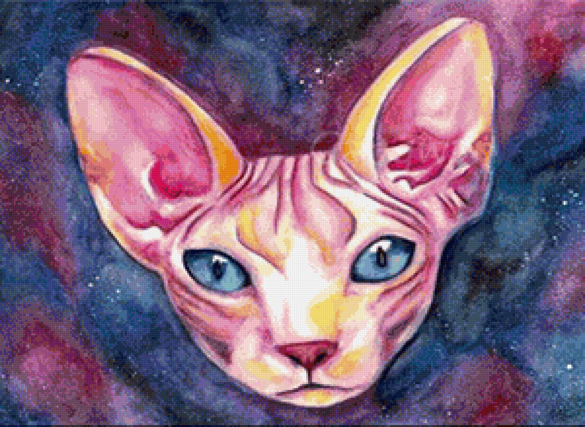 Звёздный сфинкс - космос, сфинкс, лысый котик - предпросмотр