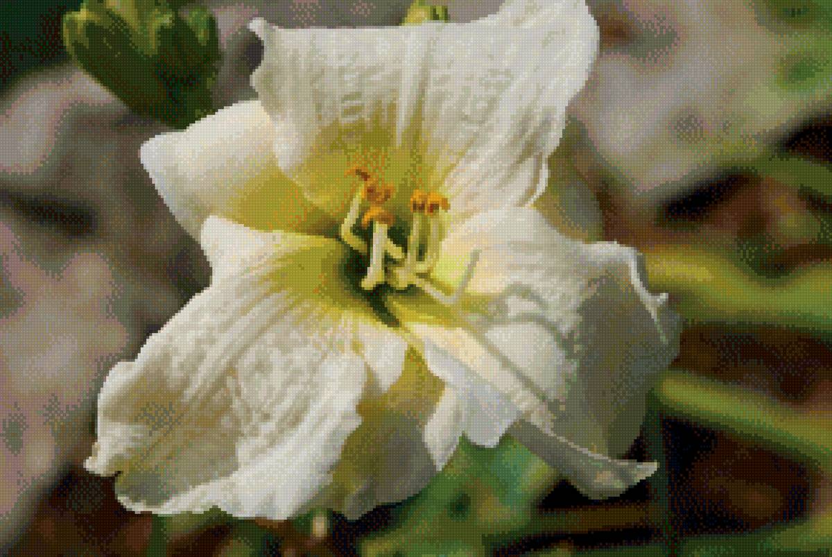 №2644966 - предпросмотр