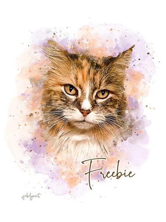 Watercolor Pet - кошка, акварель, рисунок - оригинал