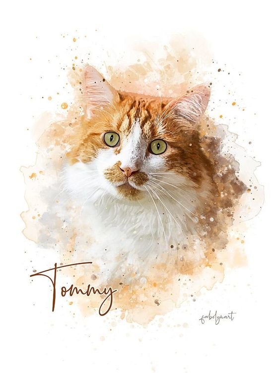 Watercolor Pet - рисунок, акварель, кошка - оригинал