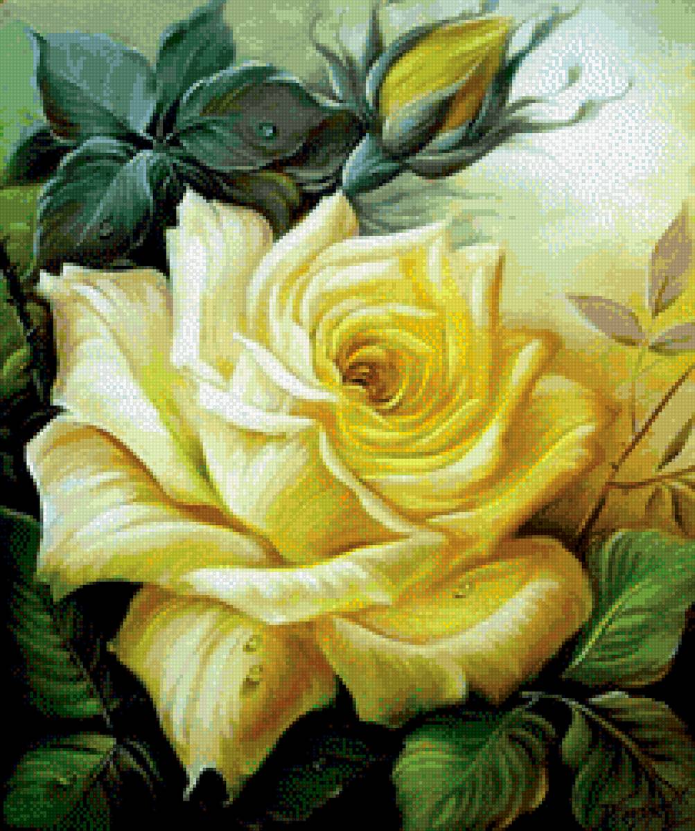 Желтая роза - цветы, розы - предпросмотр