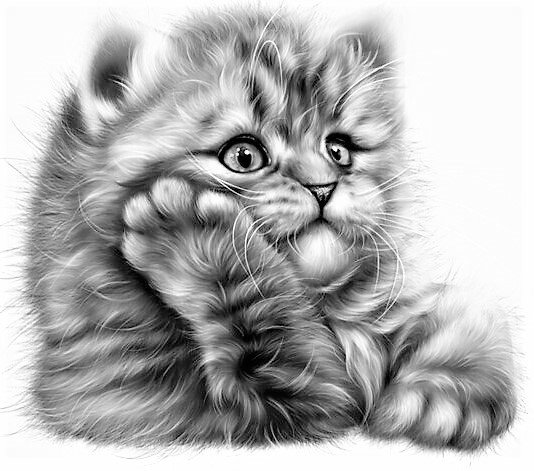 №2645714 - оригинал