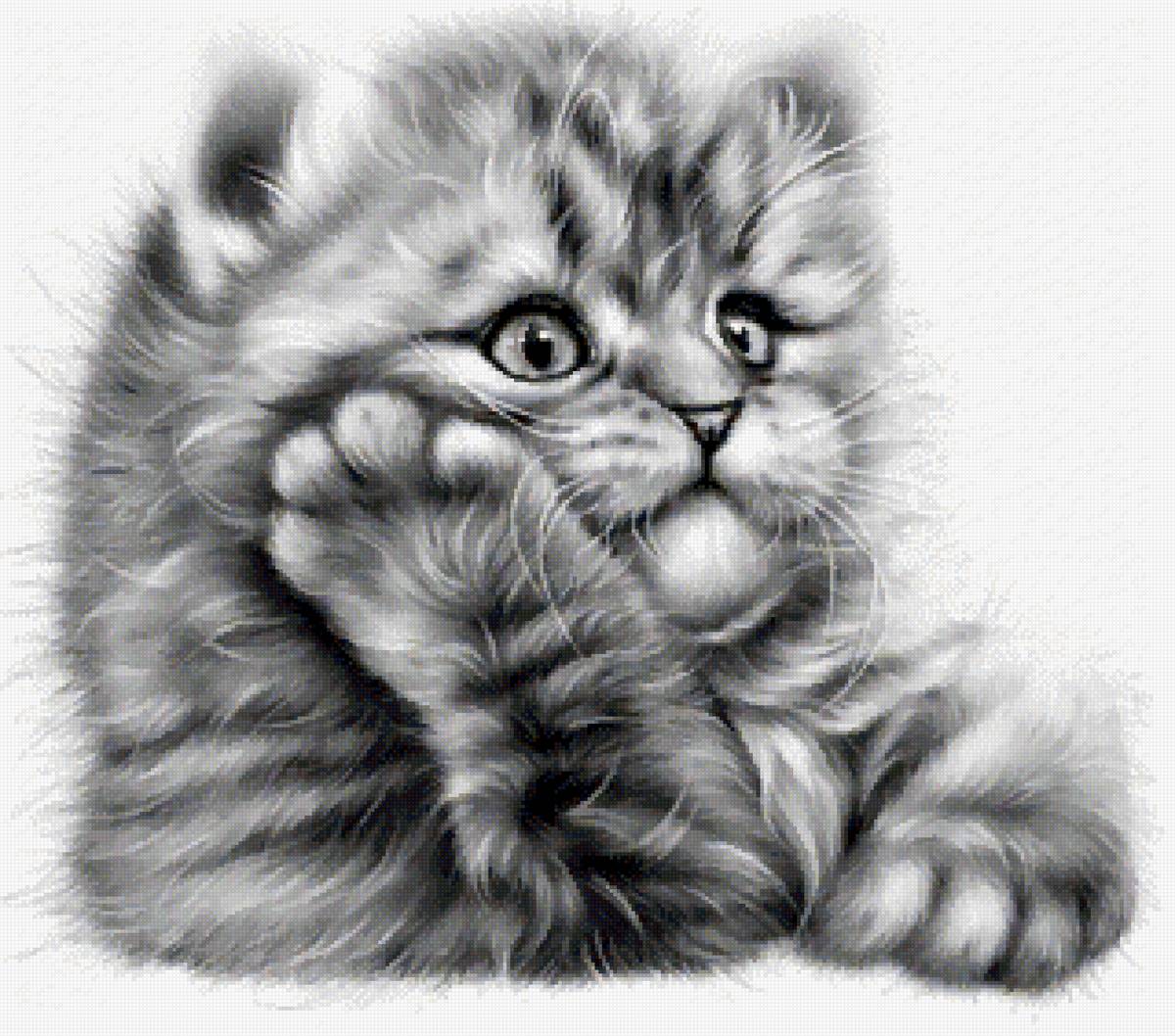 №2645714 - предпросмотр