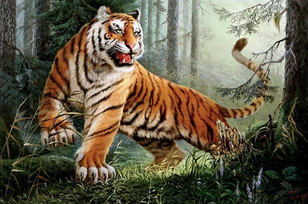 №2645738 - тигр, животные - оригинал