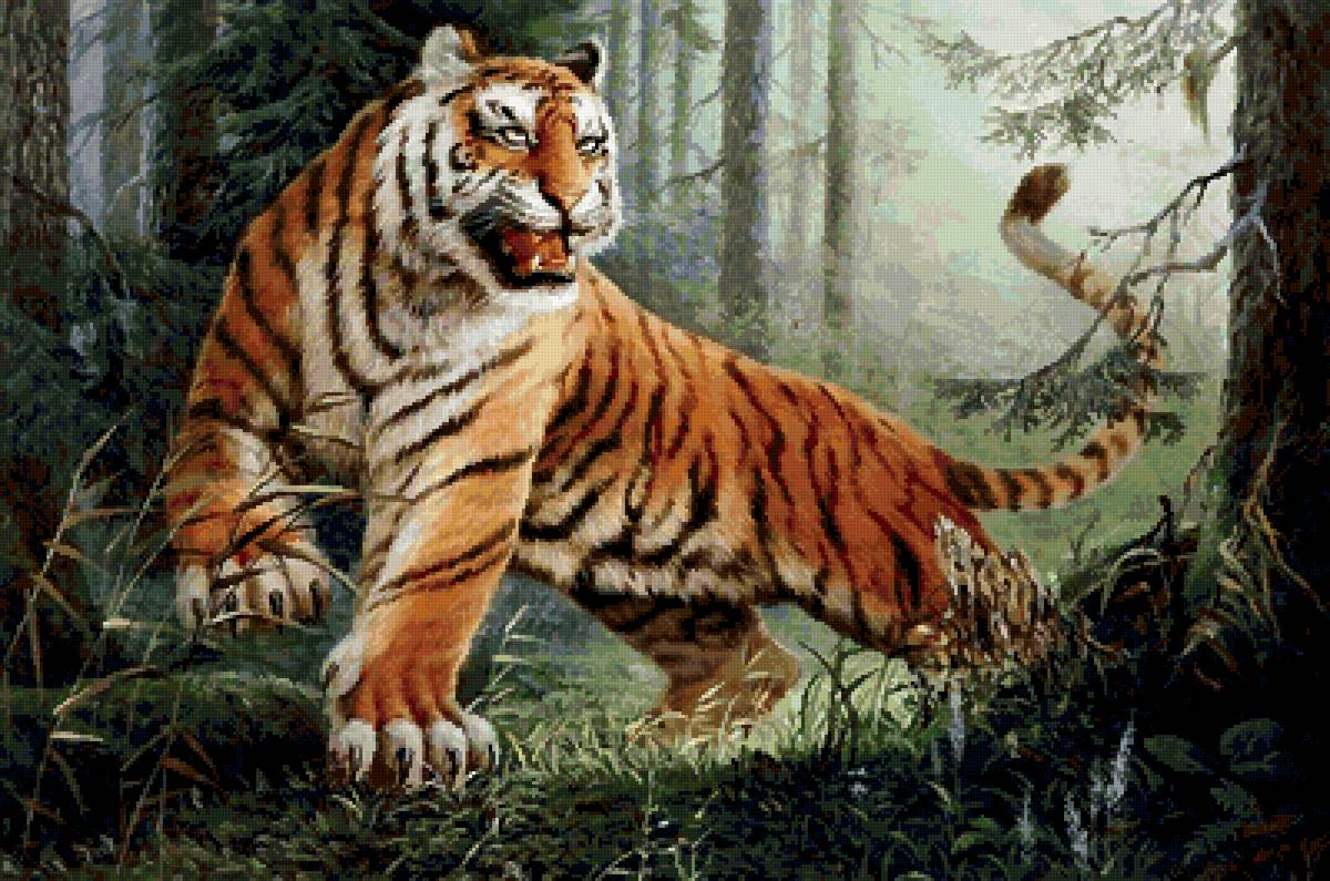 №2645738 - животные, тигр - предпросмотр