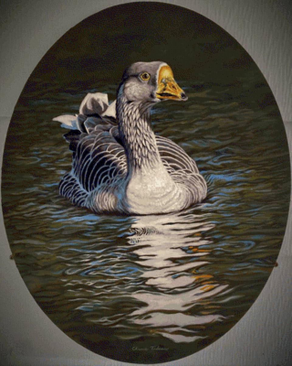 №2645888 - предпросмотр