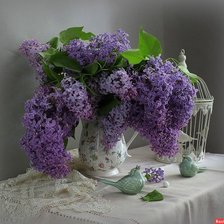 Схема вышивки «№2646399»